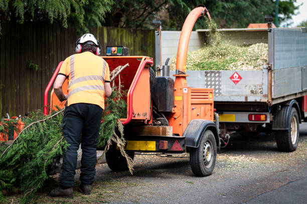 Mulching Services in Fullerton, NE